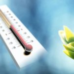 Синоптики обещают москвичам неделю рекордно теплой для декабря погоды