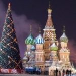 18 декабря в Москву прибудет главная елка страны