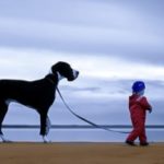 Московским детям могут запретить выгуливать собак без взрослых