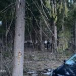 Нападение на полицейских в Щелково: всё, что известно к этой минуте