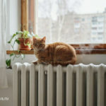 Стало известно, когда начнётся отопительный сезон в Подмосковье